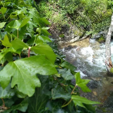 Alojamento de Acomodação e Pequeno-almoço Fuente El Boticario Aldeanueva de la Vera