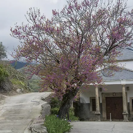 Fuente El Boticario Aldeanueva de la Vera