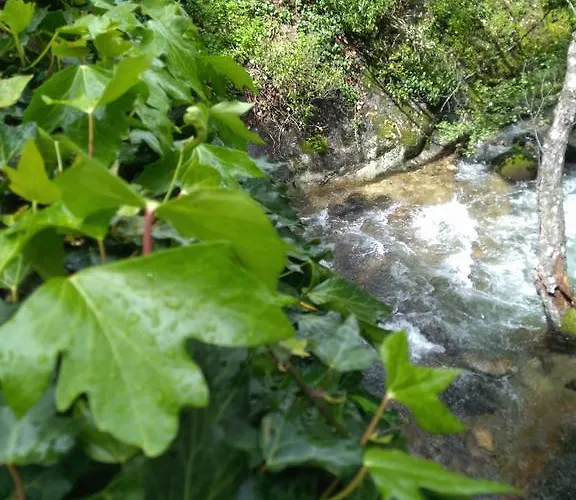Bed and breakfast Fuente El Boticario Aldeanueva de la Vera